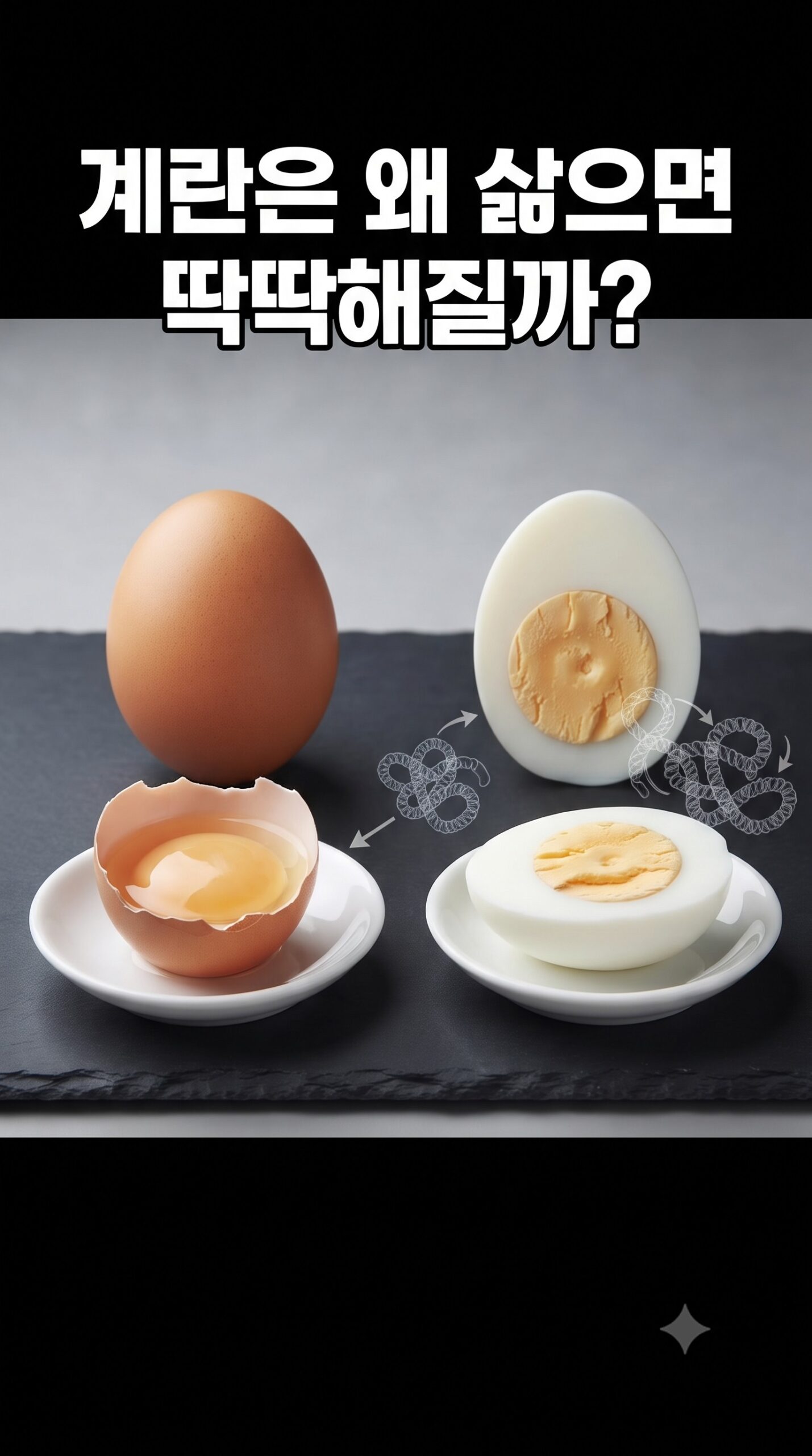 계란은 왜 삶으면 딱딱해질까? 단백질이 만드는 변화